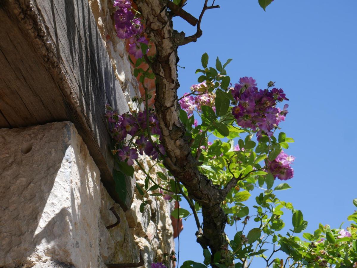 Le Tamaris Chambres d'hôtes Sainte-Hermine Extérieur photo